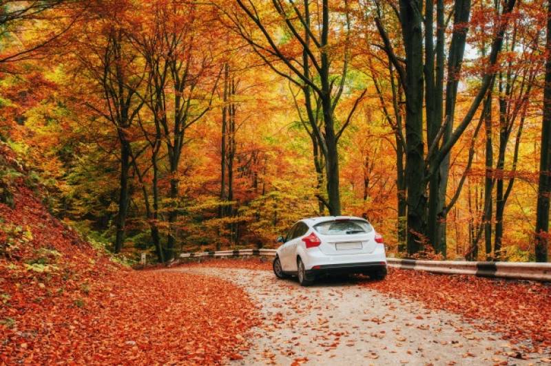 voiture automne